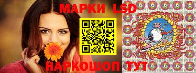 гидра Новодвинск