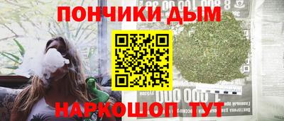 гидра Новодвинск
