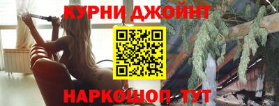 гидра Новодвинск