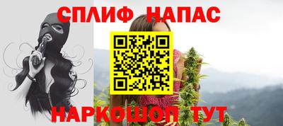 гидра Новодвинск