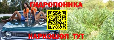 дживик Новозыбков