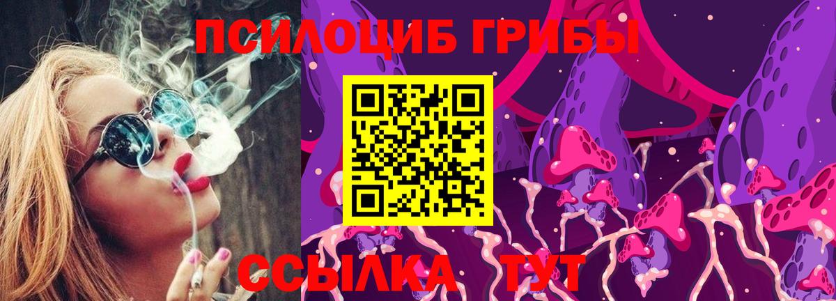 Псилоцибиновые грибы мицелий Унеча